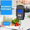 Portable Hanging Hook Scale 50Kg/5g LCD Digital Display Handheld Mini Electronic Weighting Scale Fishing Travel Luggage Scale